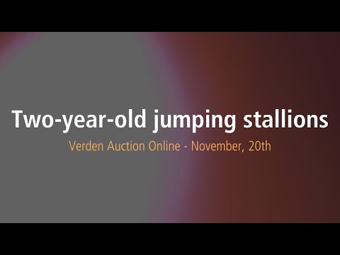 Verden Auction Online - two-year-old jumping stallions - November, 20th