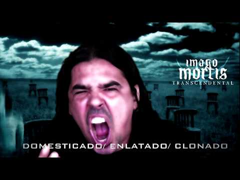 Imago Mortis - Sangue e Dor (Lyric Video)