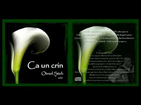 Otniel Știrb - Pe calea spre cer [Official Audio]