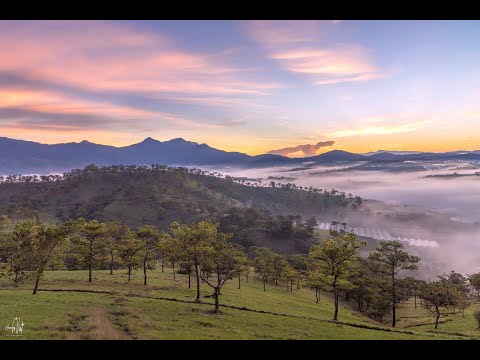 Em có về Đà Lạt không em - Huỳnh Lợi