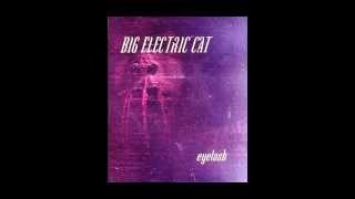 Big Electric Cat - Splinters