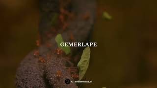 Download lagu KESUCIAN ATI || STORY WA mp3