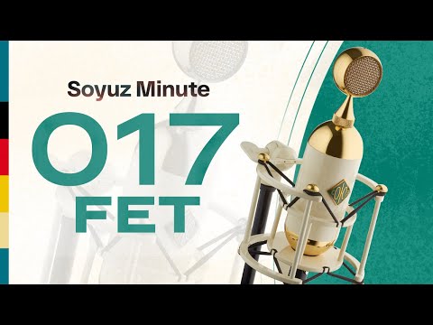 Soyuz 017 FET Large Diaphragm Condenser Microphone image 3
