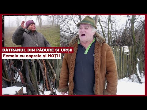 ROMÂNIA REALĂ 🔴 Bătrânul din pădure și iarna | Viața cu URȘII la poartă + Femeia cu CAPRELE și HOȚII
