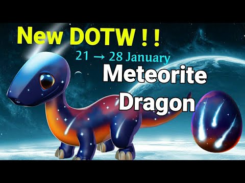 Meteorite Dragon | New DOTW | Dml
