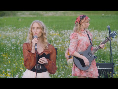 Baltos Varnos   - Žemyna