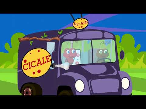 Canzoni per bambini e cartoni animati: Cicale - Ci vuole un fiore | Coro Bimbofestival