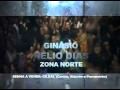 VT THALLES ROBERTO