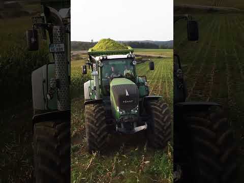 Fendt 927 Mais ballern🚜🌽  #farming #fendt #landwirtschaft #fendtpower #mais #traktor #shorts