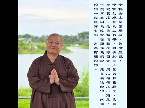 道晟師父怎麼說？聽聽師父的直播回覆提問！