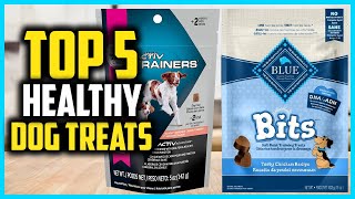 ✅ Top 5 Best Healthy Dog Treats of 2024