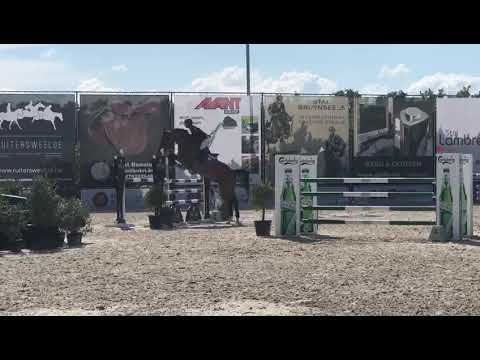 EL VITORIOSO D´ECAUSSINNES