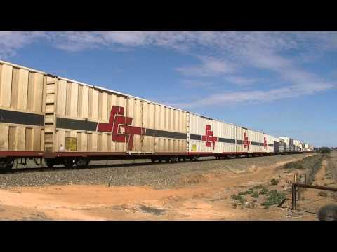 SCT010 and SCT011 on 6MP9