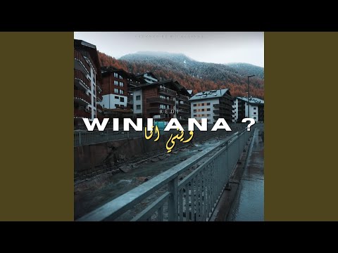 WINI ANA
