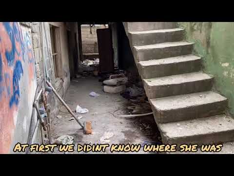 Thumbnail for Mother and puppies live in an abandoned trashed home! by Mother Mother, Live (band), Moth (band)