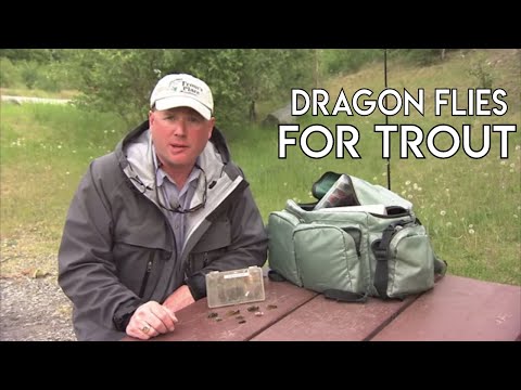 Dragon Fly Nymphs for Trout Fishing