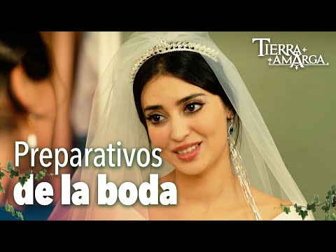 Preparativos de la boda - Capítulo 113