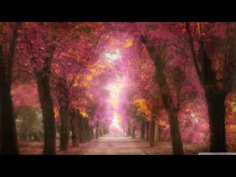 Yiruma - Destiny of Love (Full Album)