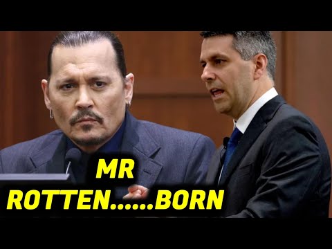 Johnny Depp VS Amber Heard's Lawyer Rottenborn Is HILARIOUS