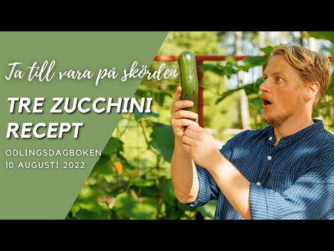 Du kommer älska de här Zucchini recepten - Odlingsdagboken 10 Augusti 2022