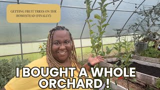 I Bought A Whole Orchard (Setting up Fruit Trees for the 1st Time)