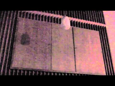 Hochfest Mariä Empfängnis - 08.12.2010 - Auszug GL 805/1-3