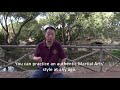 Master Zhang Du Gan about Ba Gua Zhang, health, heritage and fight - 2017 english subtitles