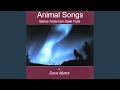 Animal Songs