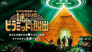 動画のサムネイル