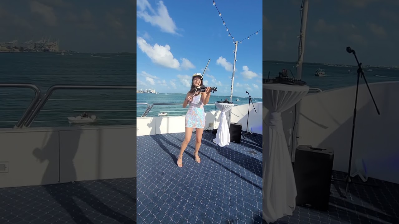 Promotional video thumbnail 5 for Megan Li Electric Violinist