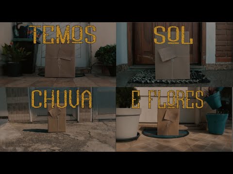 Temos Sol, Chuva E Flores - Van' Oiz