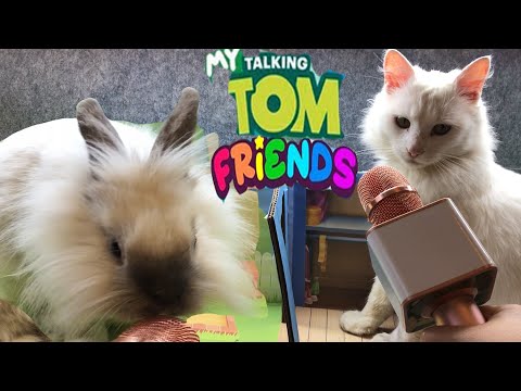 My Talking Tom Friends  Sing in real life. DIY