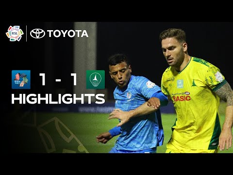 bg-highlight