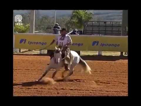 Aberta Brasília – 7° lugar fêmeas – Xinoca do Amanhecer