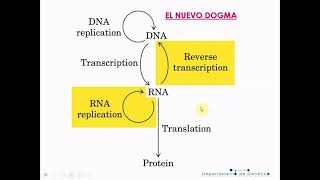 Genética T8B: Traducción y Mutaciones - Biología Celular y Tisular