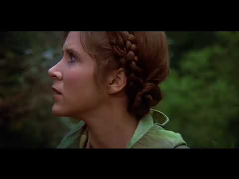 Star Wars Episode VI Return of the Jedi   Princess Leia and Ewok Wicket