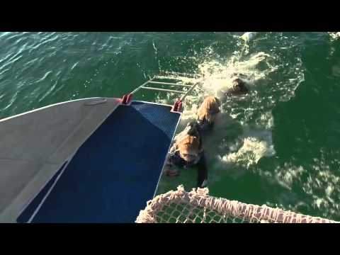 G'DAY SA TRAVEL - Thursdays at 7pm