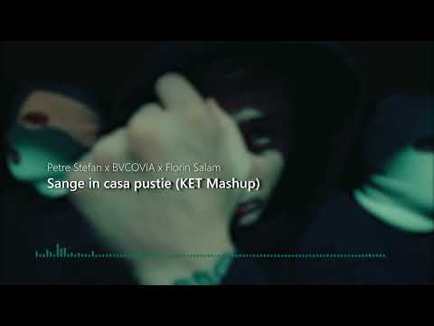 Petre Stefan ❌ BVCOVIA ❌ Florin Salam - Sange in casa pustie (KET Mashup)