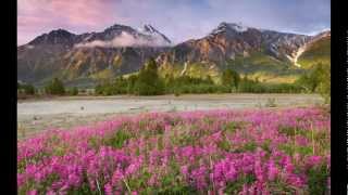 Jean Michel Jarre "Waiting For Cousteau" (Edit) (Montage)