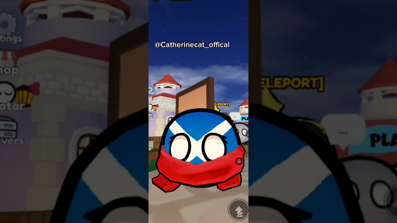 Ways to beat boredom in Cbw! #cbw #countryballs #kitty