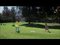 A Trusted Guide WKAR Kids Week WKAR PBS