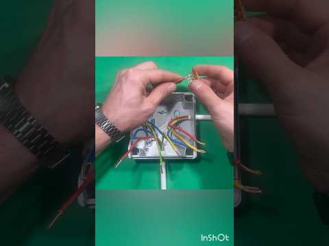 1. Quick Tips: Connecting Stranded Wires in a Junction Box with Wagos | DIY Electrical