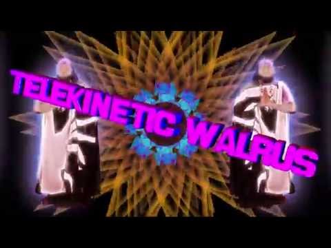 Telekinetic Walrus - Mantra - Official Music Video