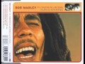 Bob Marley vs Funkstar de Luxe - Sun is Shining ...