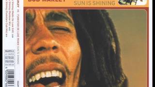 Bob Marley vs Funkstar de Luxe - Sun is Shining (Rainbow Mix)