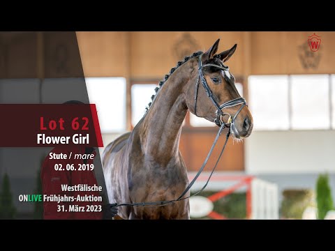 ONLIVE Frühjahrs-Auktion Lot 62 Flower Girl Stute v. Fürst Romancier - Show Star