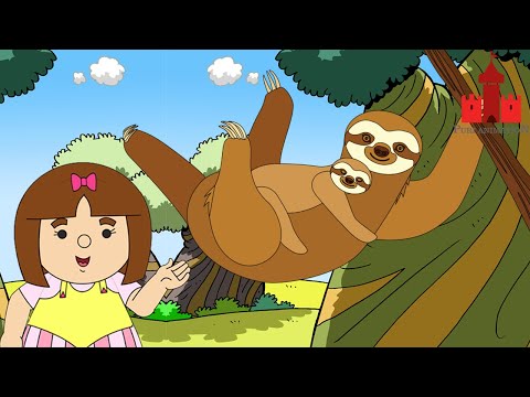 Mengenal Kukang | Puri Animation