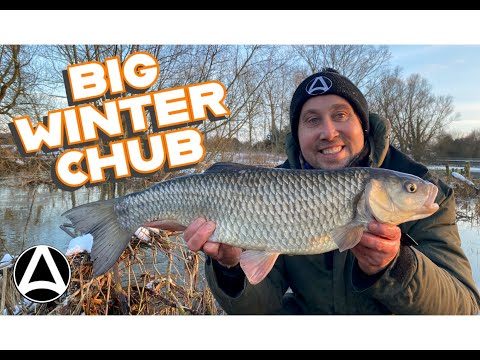 Winter Chub Fishing. ( Big fish bait and tactics)