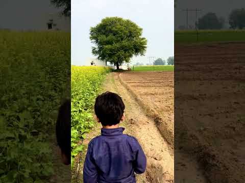 Let’s keep moving - Rishik enjoying a walk in village farm with flowering mustard