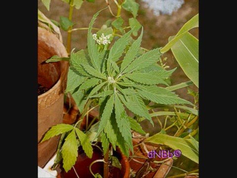 Ronny Trettmann - Wochenende